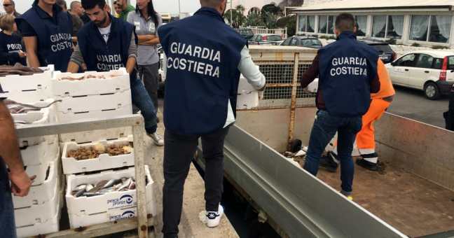 Operazione Galatea: sequestrati 970 chili di pesce