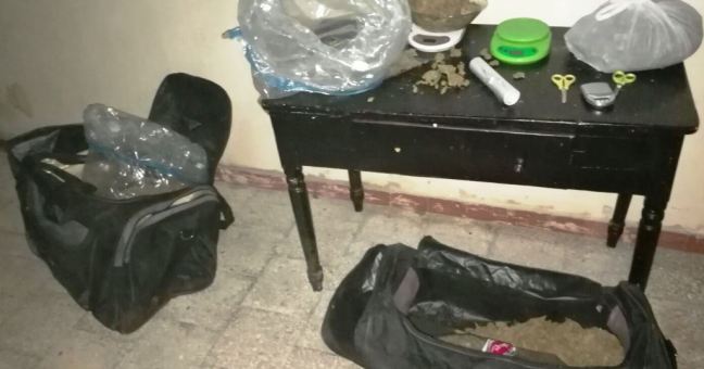 Blitz dei carabinieri: un arresto| Sequestrati libro contabile ed “erba”