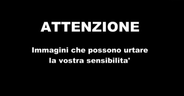 Pestato dalla polizia | Il VIDEO-CHOC
