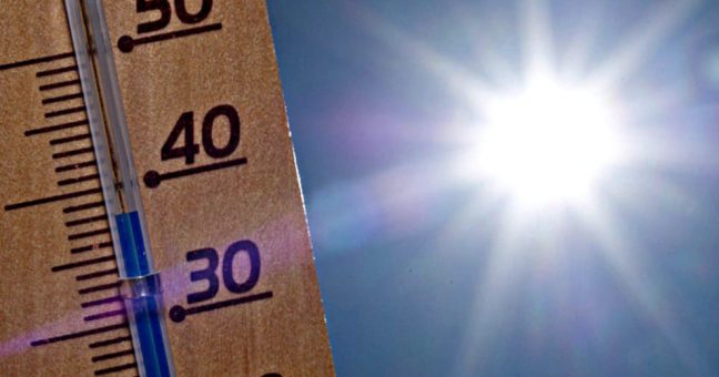 Sole, afa, estate | Una settimana calda