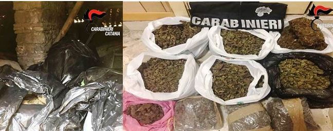 Sottotetto zeppo di droga |Sequestrati 8 chili di erba