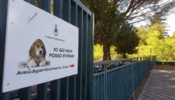 Aggredito a calci e pugni per | aver fatto entrare il cane al parco