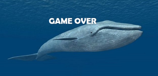Il volo dello studente | E’ Blu Whale?