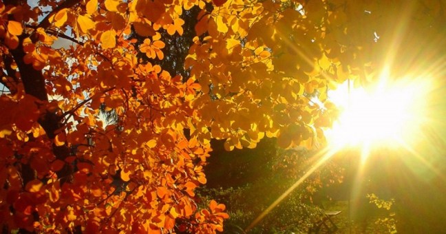 Caldo e sole | È il mese di “giugnobre”
