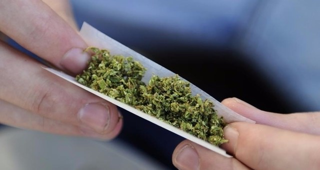 Cannabis se si sta male | L’ok della Camera