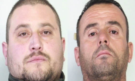 Bloccata dalla Polizia consegna | da 31 chili di marijuana