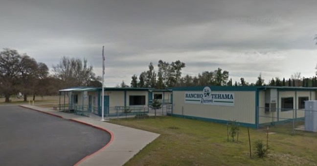Sparatoria in una scuola | Almeno cinque morti