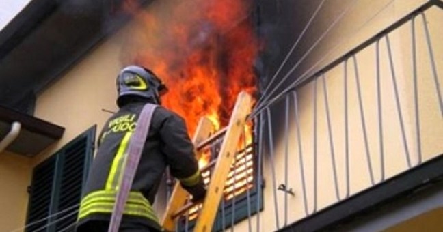 Lascia il phon acceso | Morti cuccioli di cane