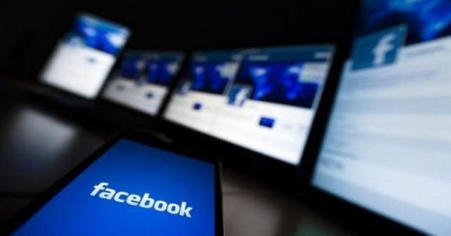 Cani avvelenati a Sciacca | Facebook, insulti al sindaco