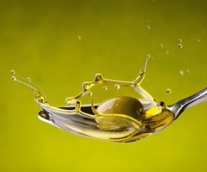 Degustatori di olio |I corsi per sommelier