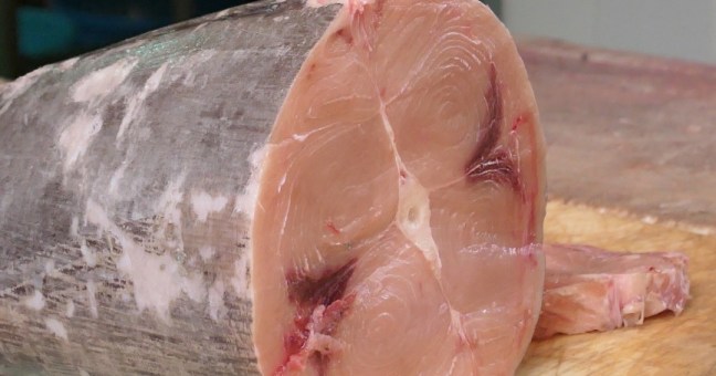 “Buono a Sapersi” alla scoperta del pesce spada