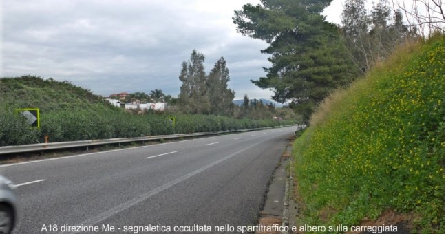 Albero sulla A18, boscaiolo |libera la carreggiata