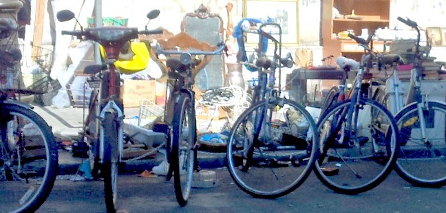Consulta delle bici| Dal Pd un sì convinto