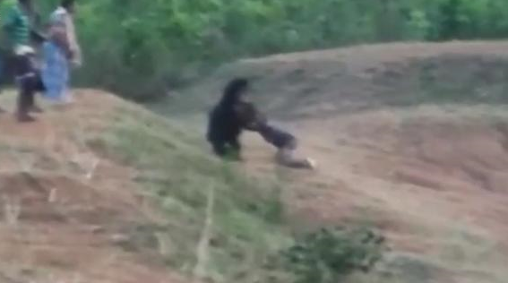 Vuole fare un selfie| L’orso lo sbrana