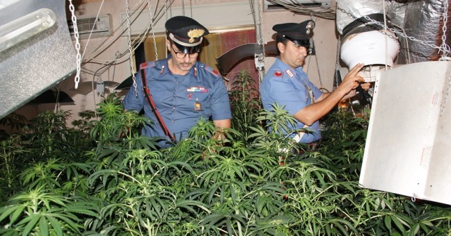 L’arresto nella villetta della droga | Duecento piante di marijuana