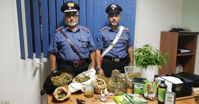 Una serra e un essiccatoio per la marijuana in casa, arrestato