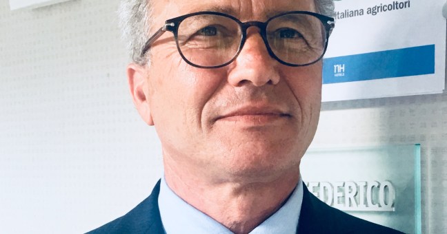 Olivicoltura siciliana |L’allarme del presidente Apo