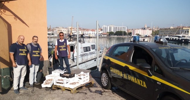 GdF sequestra 65 kg di pesce |e 500 articoli contraffatti