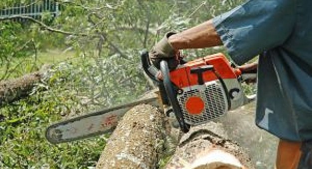 Furto agli operai del comune | Rubata una motosega