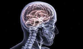 Giornata mondiale dell’Alzheimer| Convegno a Villabate