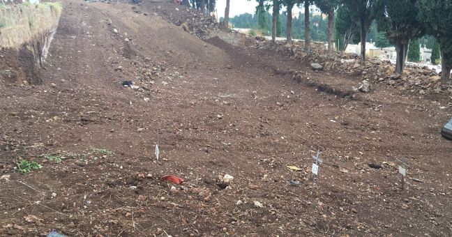 Cimiteri, emergenza continua| Caracausi: “Soluzioni al più presto”