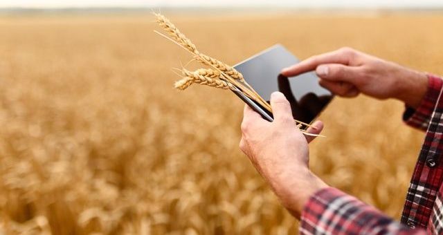 Al via ‘Talents for Food’ |Borse di studio per i Master Istud