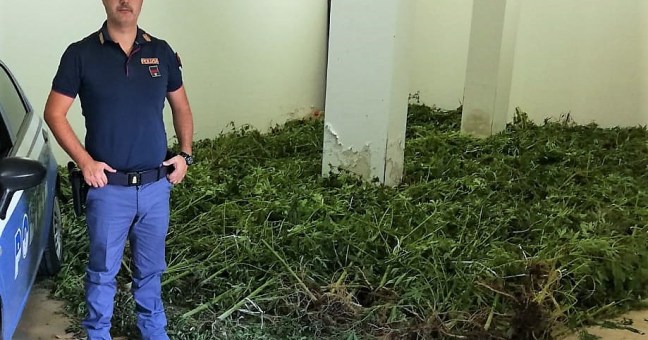 Piantagione di droga a Misilmeri |Arrestati due uomini di Brancaccio