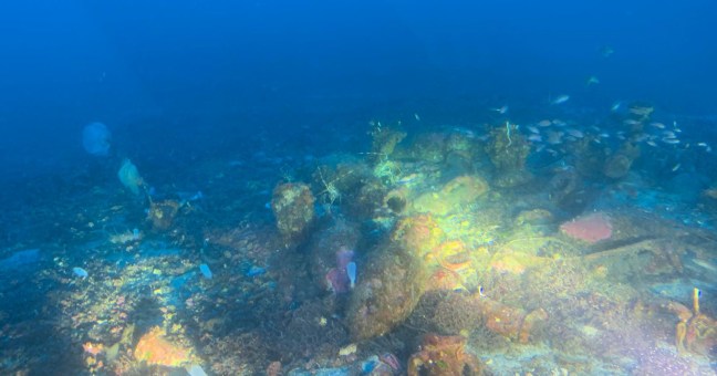 Un relitto romano in mare|La scoperta nei fondali di Ustica