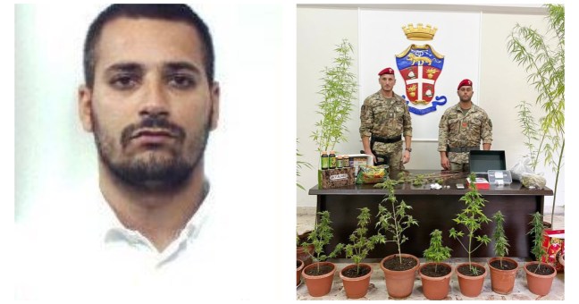 Piantagione di cannabis in balcone|In manette 23enne