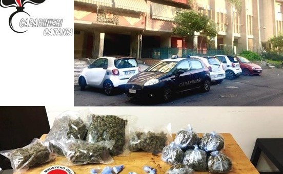 Signora della droga