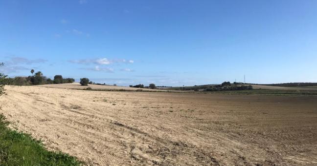Noto, “No al mega fotovoltaico nella riserva di Vendicari”