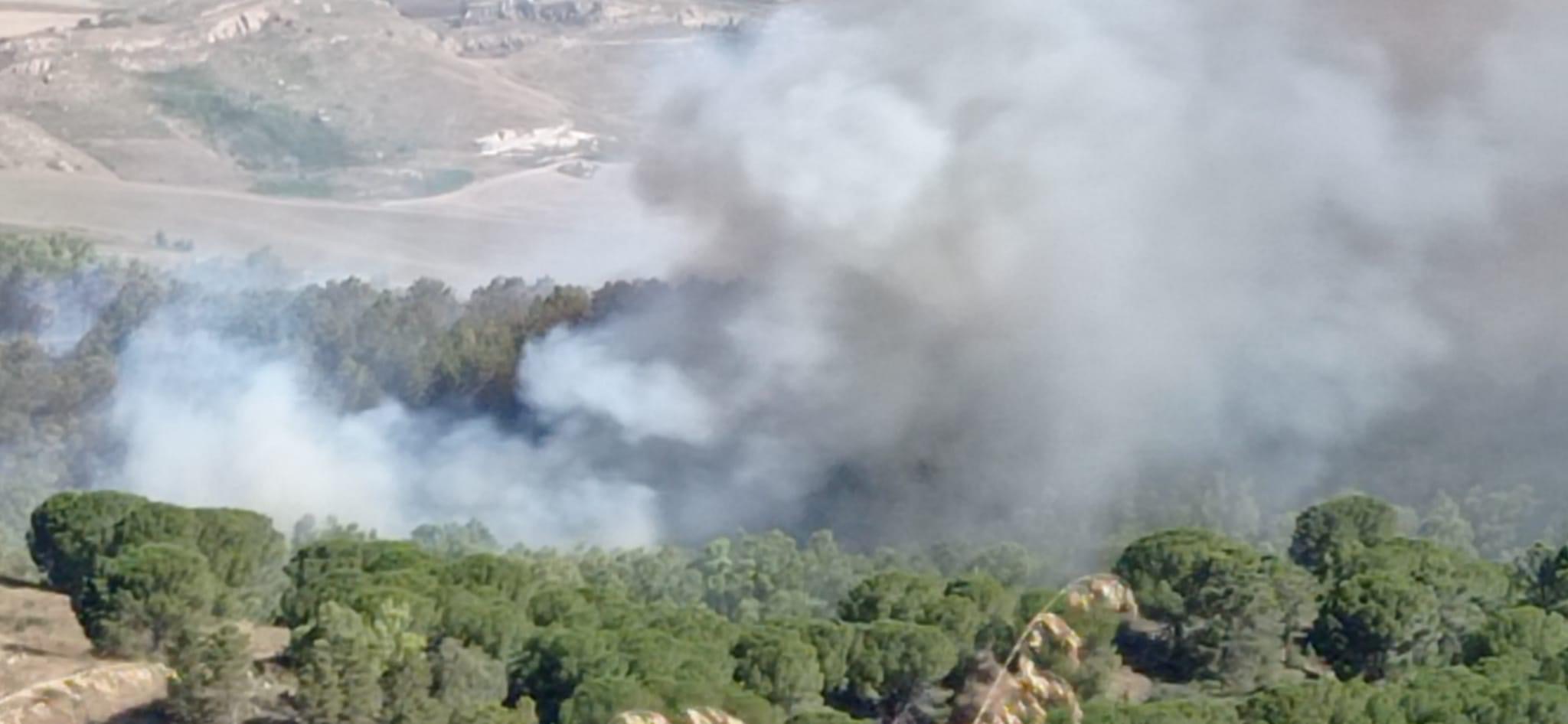 Incendio a Enna, brucia la riserva del Parco minerario Floristella