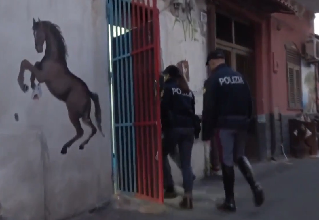 Corse clandestine, la polizia sequestra 5 cavalli e farmaci dopanti VIDEO