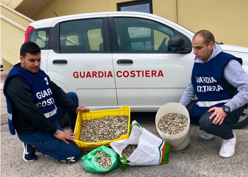 Catania, sequestrati più di cento chili di vongole senza etichettatura