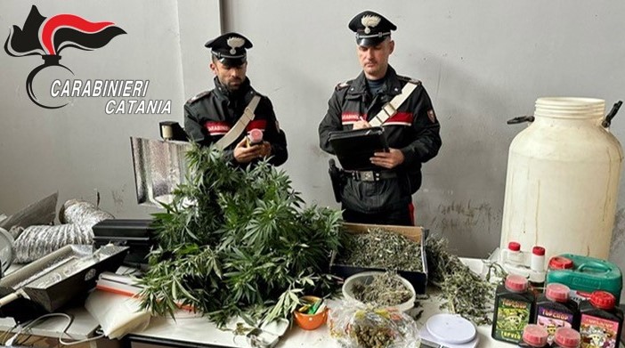 Catania, tartarughe e una piantagione di marijuana nella casa occupata