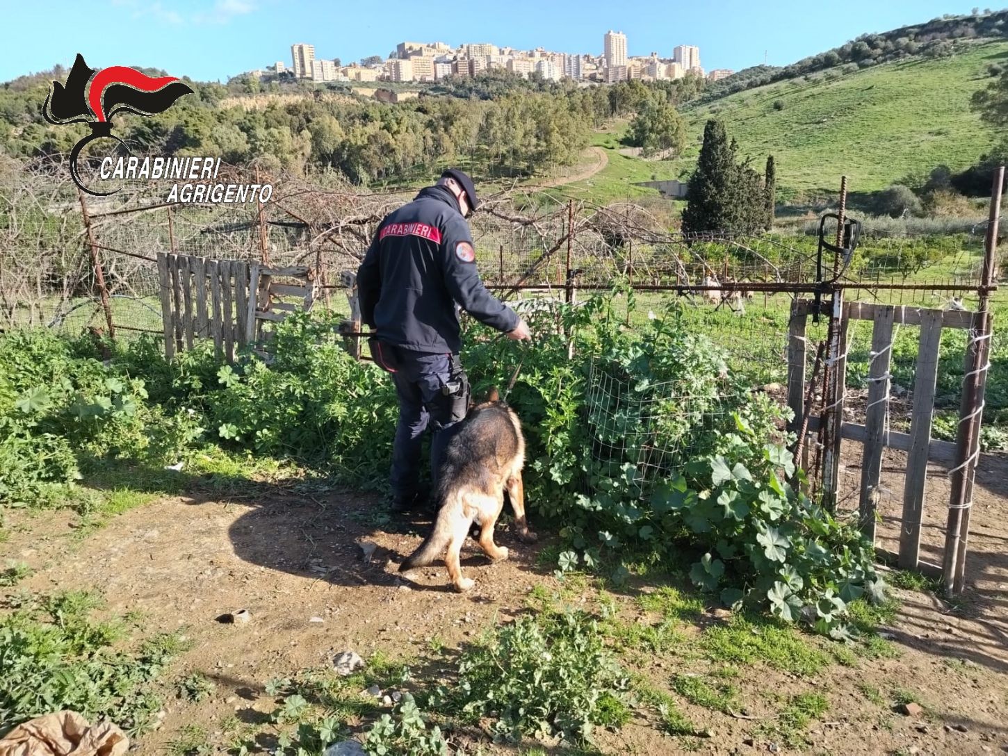 Il blitz antimafia nell’Agrigentino, trovato l’arsenale dei clan