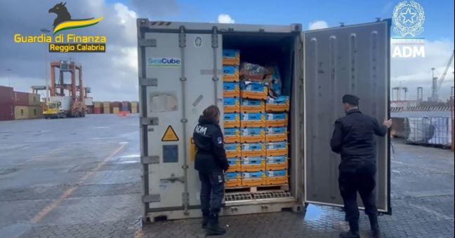 Blitz nel porto di Gioia Tauro, sequestrati oltre 780 chili di cocaina