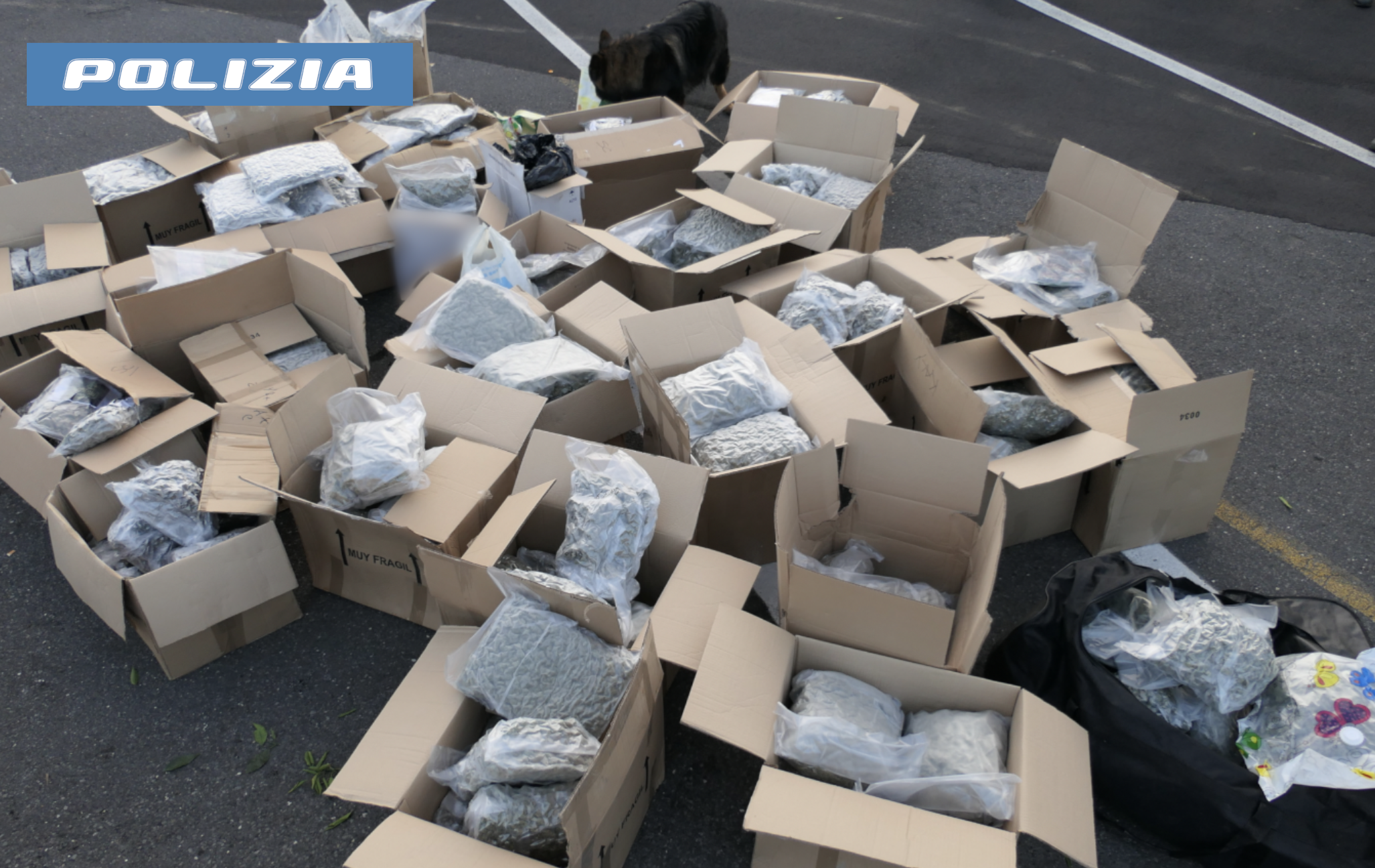 droga a catania