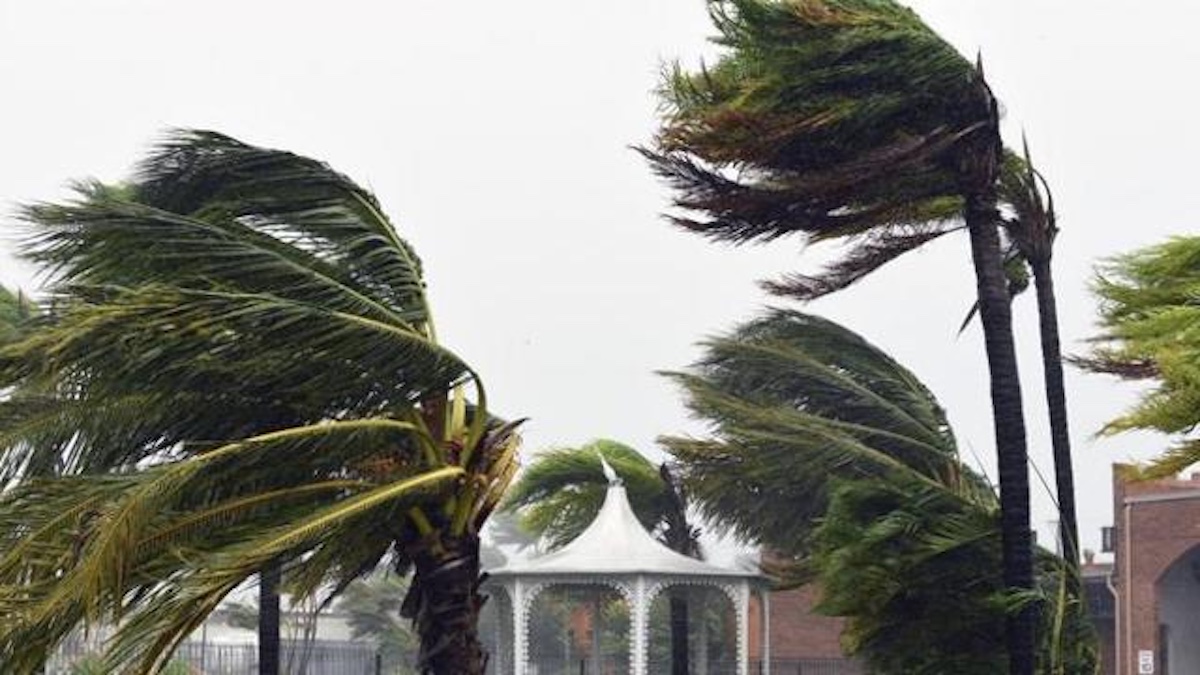 Palermo, raffiche di vento in arrivo. La protezione civile: “Fare attenzione”