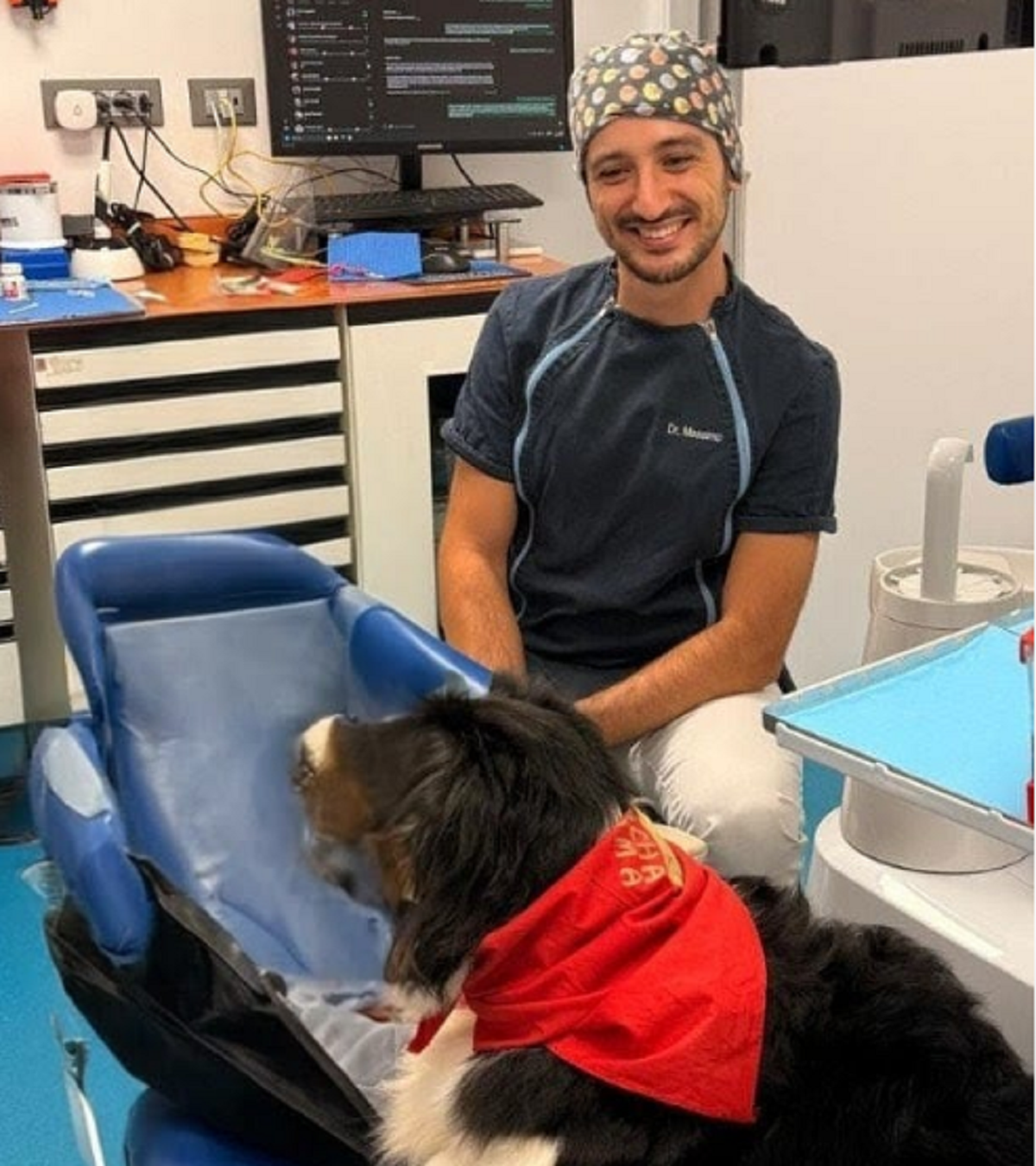 dentista cane
