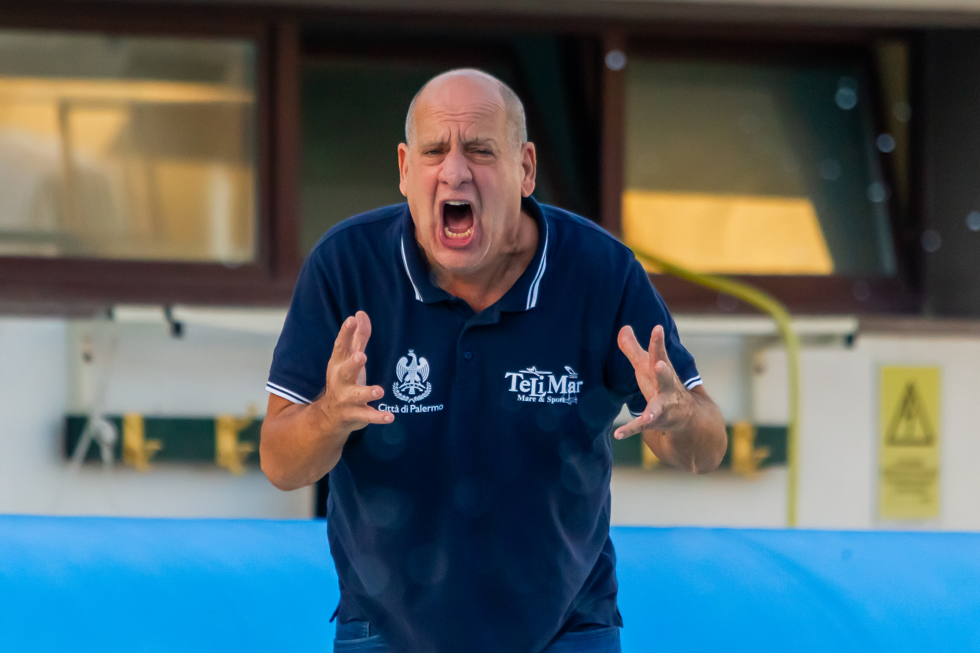 baldineti telimar palermo