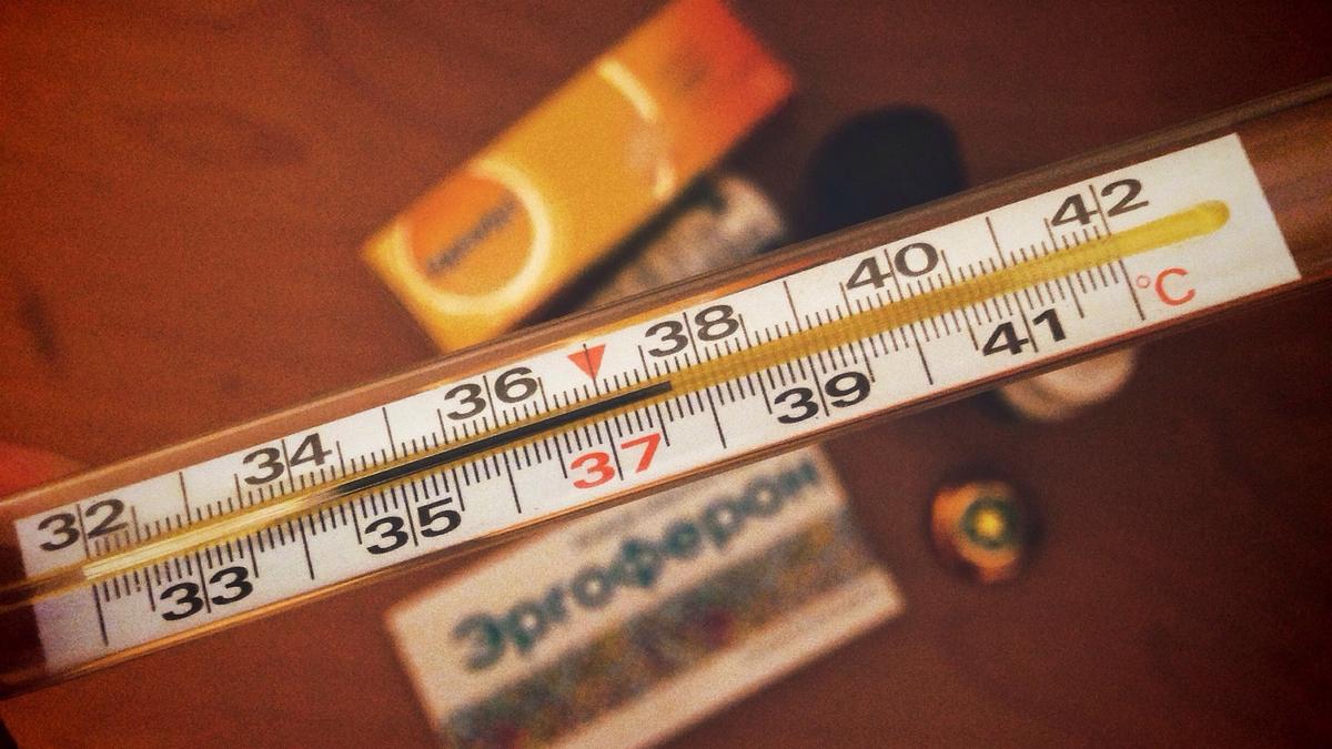 Influenza Bassetti flunami