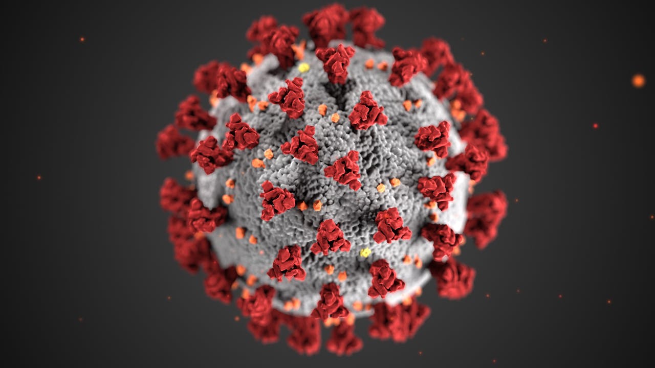 Virus Nipah