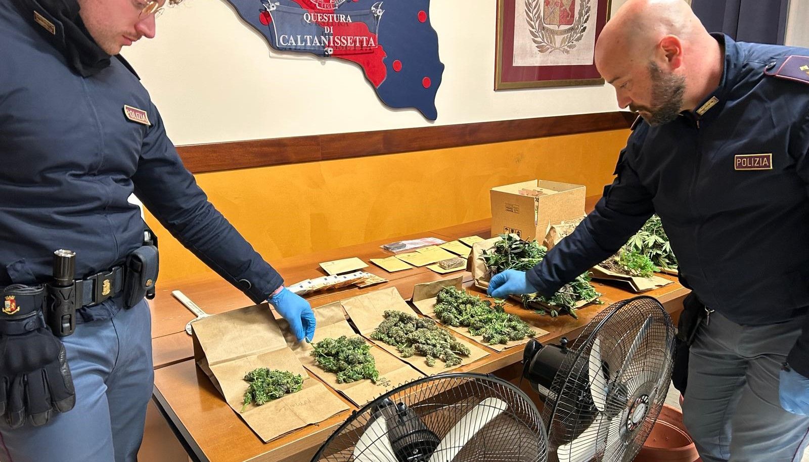 sequestro marijuana