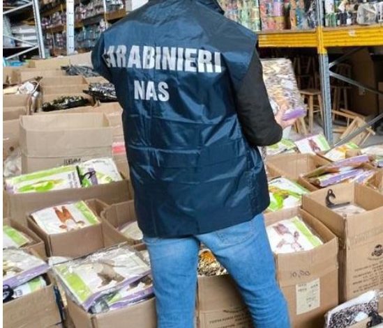 Carnevale, mille costumi per bambini sequestrati dai Nas di Catania