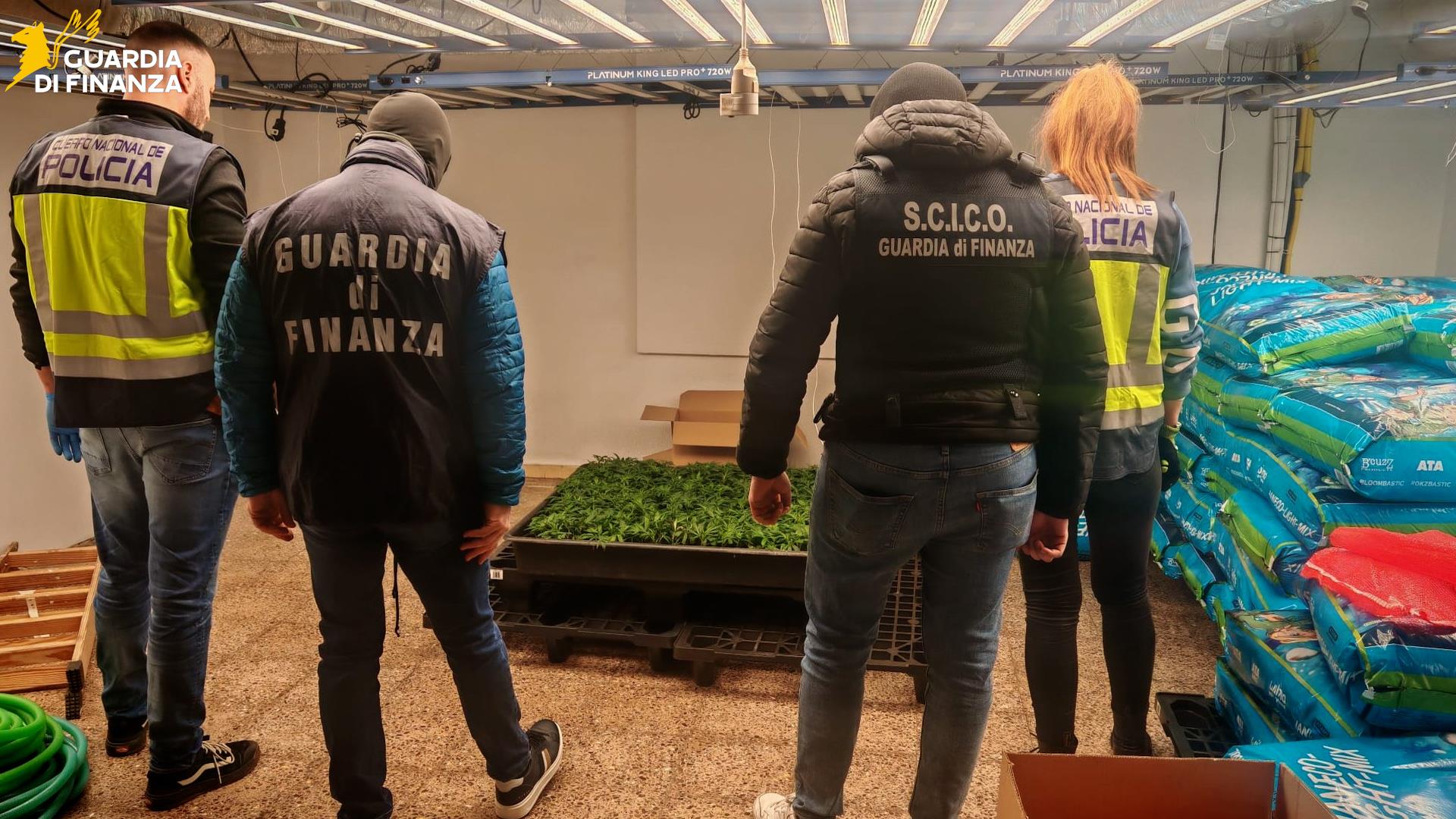 Arresti per droga Catania Guardia di finanza
