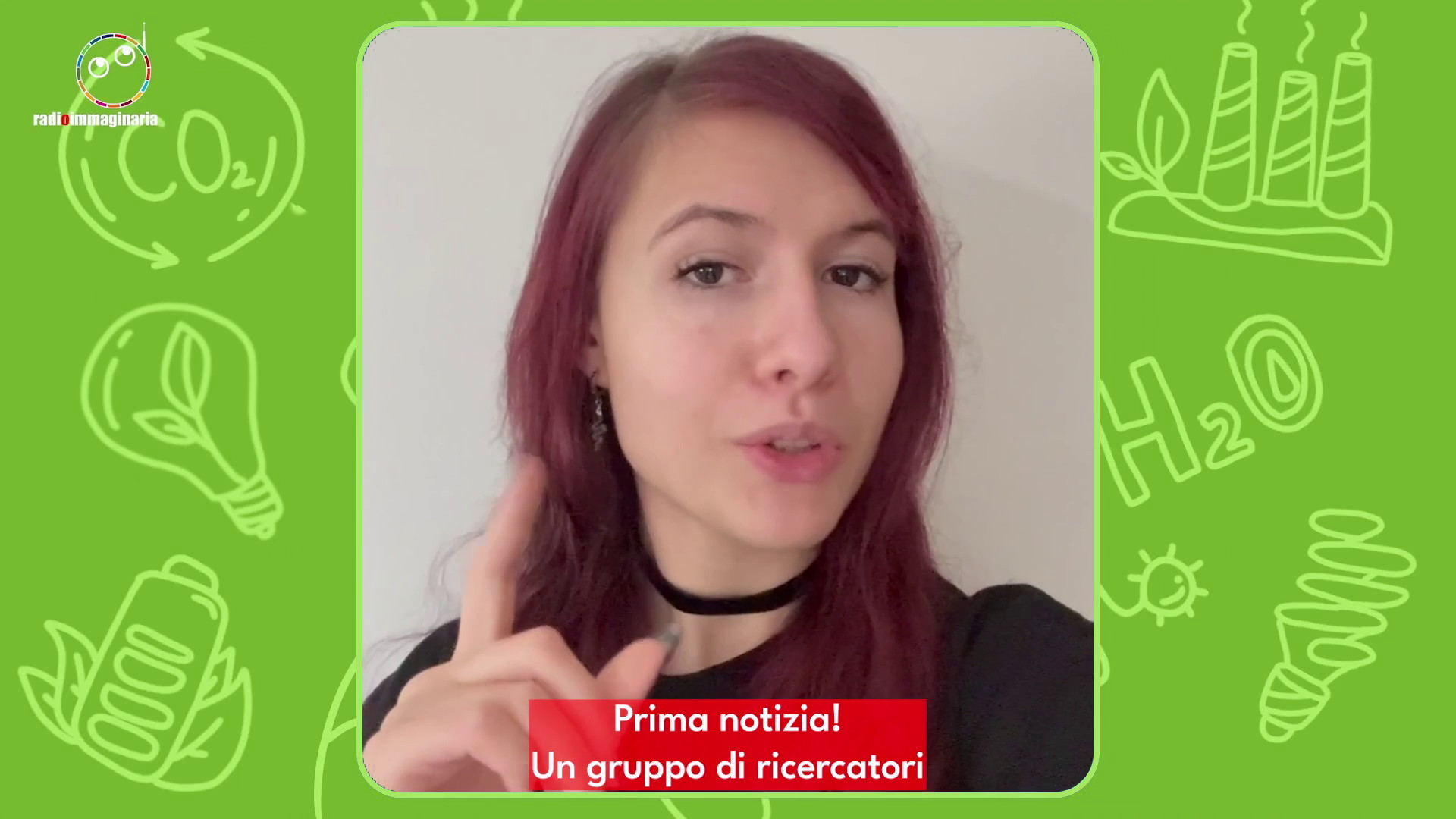 Scoperta una medusa grande quanto un autobus