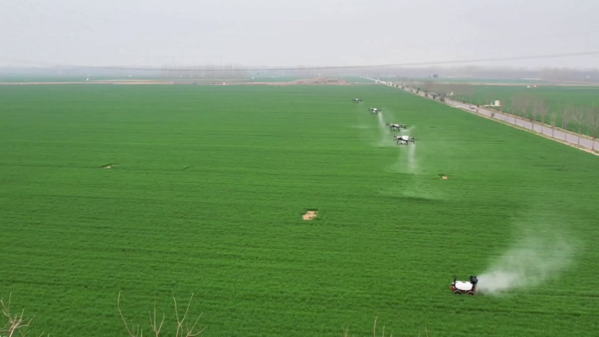 Cina, una fattoria smart trasforma la coltivazione dei cereali