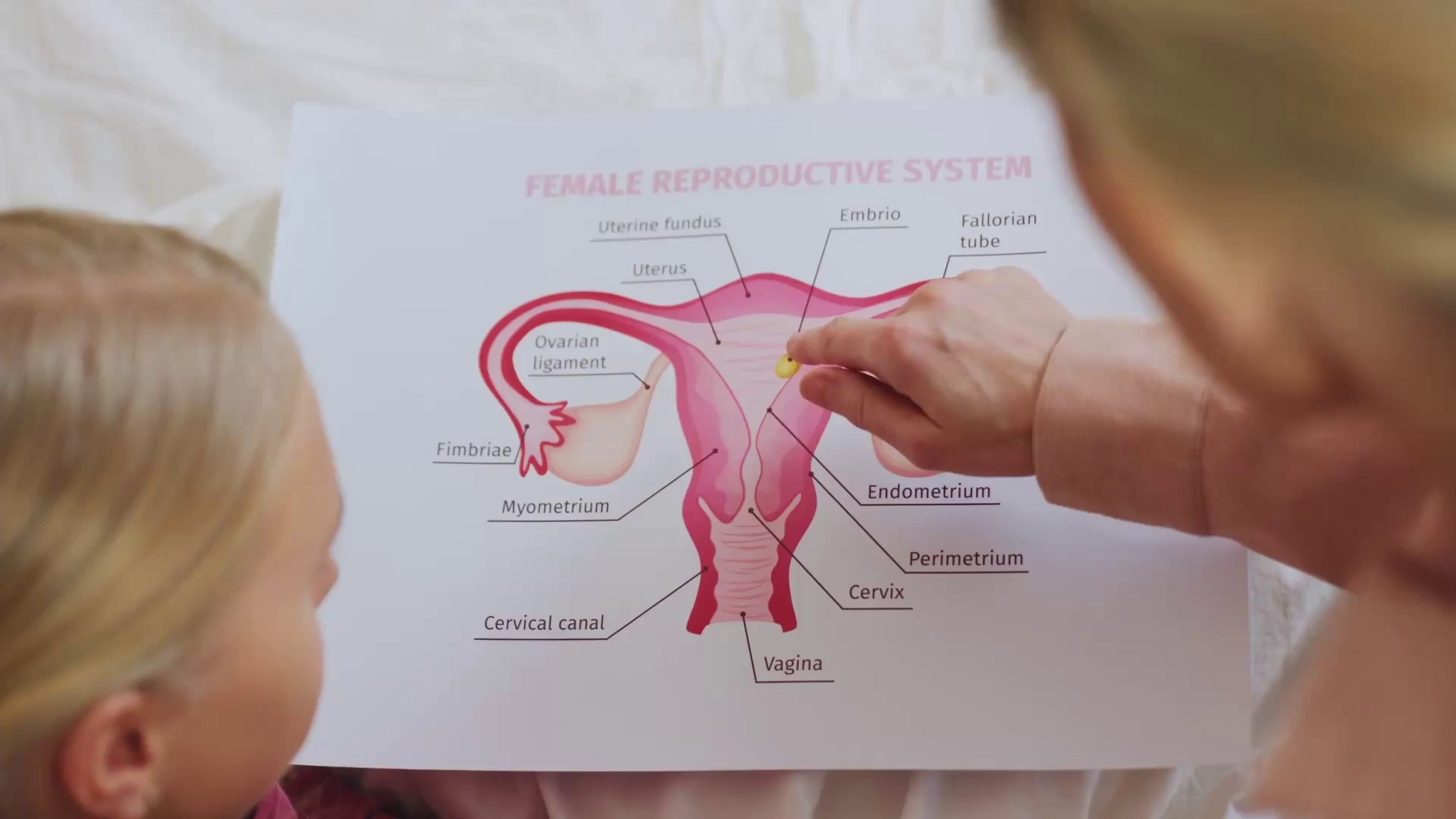 La fertilità femminile, ecco le tecniche per preservarla