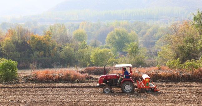 Cina, produzione di cereali in crescita anche nel 2026 secondo le previsioni